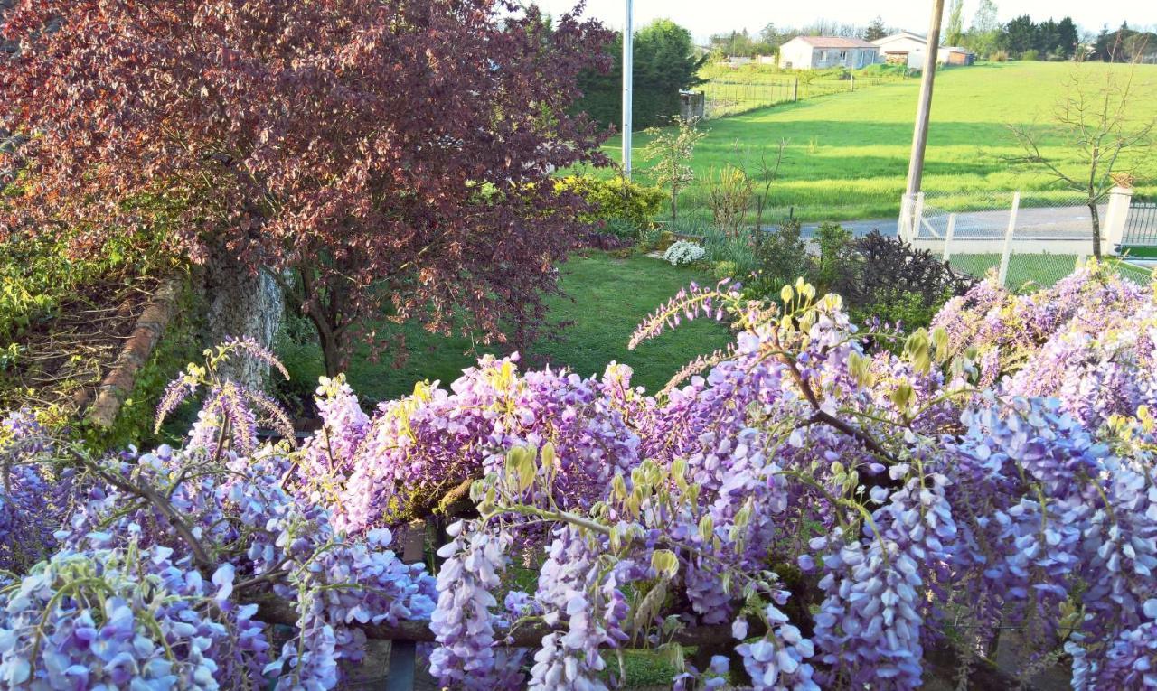 Les Glycines Bed & Breakfast Eymet Exterior foto